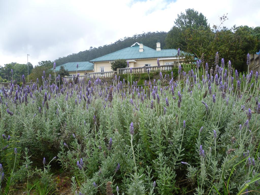 Senani Colonial Holiday Bungalow นูวาราเอลิยา ห้อง รูปภาพ